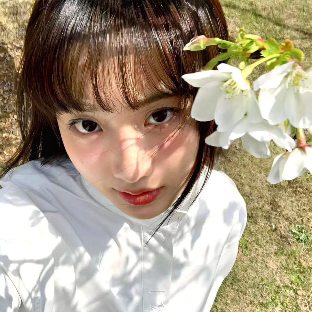 丑小鸭天鹅